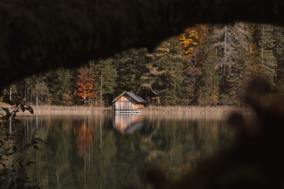 Festival des cabanes : dernières semaines pour explorer les refuges d'architectes des Sources du lac d'Annecy